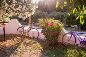 A garden outside Wilson & Andrew House - Boho Bliss