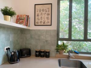 a kitchen counter with a sink and two windows at Annie's Boutique Apartment in Jerusalem in Jerusalem