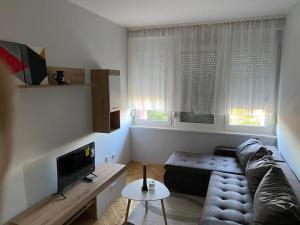 Φωτογραφία από το άλμπουμ του Apartman Čelarevo centar σε Čelarevo