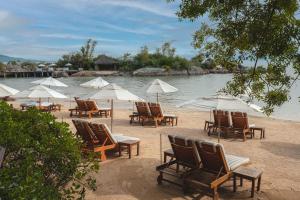 eine Gruppe von Stühlen und Sonnenschirmen am Strand in der Unterkunft Ponta dos Ganchos Exclusive Resort in Governador Celso Ramos