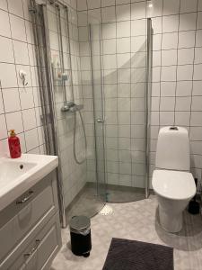 Ванная комната в Mysig lägenhet i Prästgård nära Branäs