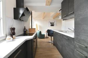 a kitchen with gray cabinets and a counter top at Das schiefe Haus - Wohnung "Weinlage" in Heppenheim an der Bergstrasse
