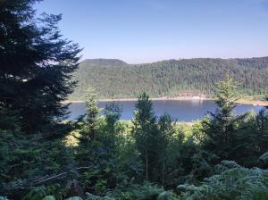 widok na jezioro przez drzewa w obiekcie Gîte "fils et cotons" Piscine Intérieure chauffée à l'année et sauna privé w mieście Celles-sur-Plaine +4 zdjęcia