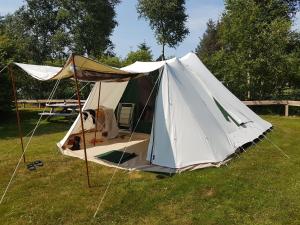 ネスにあるAmeland tentenverhuur Amelandの草原のテント