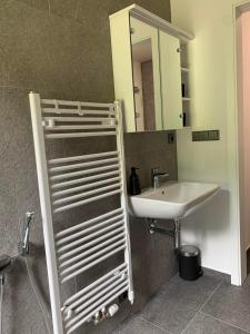 Koupelna v ubytování Apartmán U lomu Dolní Morava + 6 fotografií