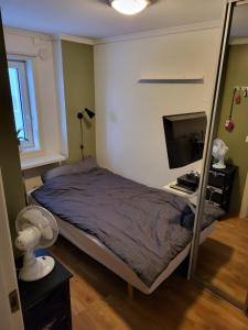 a bedroom with a bed and a mirror at Sentrumsleilighet med gratis parkering til leie in Arendal