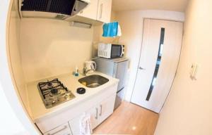 una piccola cucina con lavandino e frigorifero di Carsail Sole - Vacation STAY 13225 a Saitama