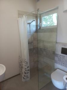 a bathroom with a shower and a toilet at Zagroda Nadmorska Brzezina in Jastrzębia Góra +17 photos