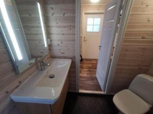 een badkamer met een wastafel, een spiegel en een douche bij Utsikten in Gjesvær