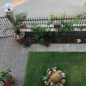 a garden with potted plants and a fence at Apartment with Garden in Tragána