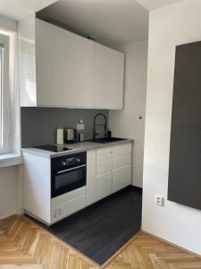 Kuchyň nebo kuchyňský kout v ubytování Apartmán V Krátké + 30 fotografií