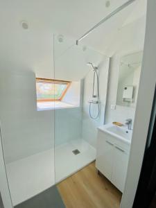 Kúpeľňa v ubytovaní Duplex avec parking proche Stade de la Beaujoire, parc des expositions, bord de l'Erdre
