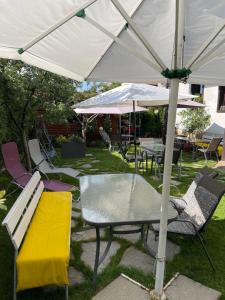 Zahrada ubytování Guest house Elit
