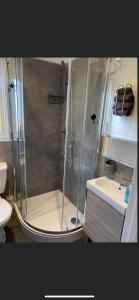 a shower in a bathroom with a toilet and a sink at 128 Hengar Manor in Bodmin