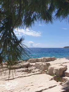 Gallery image of Studio apartment Under the pine in Milna