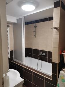 a bathroom with a bath tub with a shower at Vila Ivana 