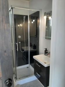 a bathroom with a glass shower and a sink at Domki Polana in Piotrkowiczki