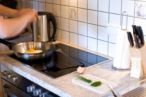 Kuchyňa alebo kuchynka v ubytovaní Haus Sonnberg