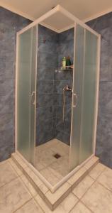 een douche met een glazen deur in de badkamer bij Romanos Patras studio in Romanós