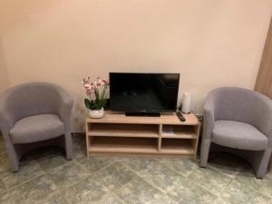 dos sillas grises sentadas junto a una TV y una mesa en Pension Lotti Friedrichshain en Berlín