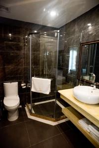 a bathroom with a shower and a toilet and a sink at RUBY QUEEN Hotel in Ha Long