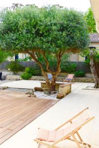 una panchina e due alberi in un cortile di Charmante Chartreuse Bordelaise - Ancien Chai a Tabernottes