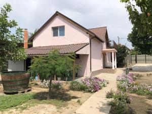 a pink house with flowers in front of it at Vila Siminica in Salcia