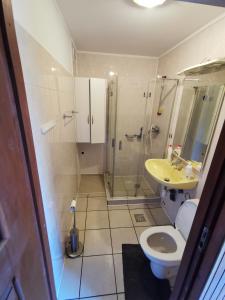 a bathroom with a shower and a toilet and a sink at Dom leśny w Konarzynach in Stara Kiszewa