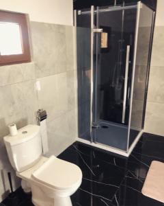 a bathroom with a toilet and a glass shower at Domek Zuza Nielisz in Nielisz