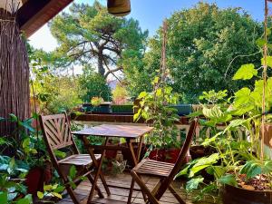 stół i krzesła na patio z roślinami w obiekcie Nature & Sun, Natural lifestyle - Hossegor w mieście Soorts-Hossegor