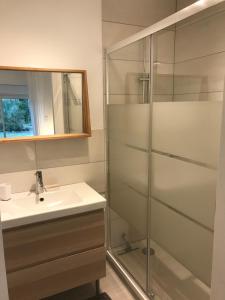 a bathroom with a sink and a shower at Les 4 gites de la Saisse in Pont-de-Poitte +39 photos