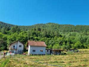 a house in a field in front of a mountain at Apartman „Škobić” in Višegrad