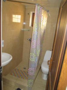 Koupelna v ubytování Guesthouse Lasharai