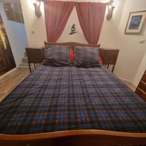 a bedroom with a bed with a plaid at La cabane des sorciers in Liévin