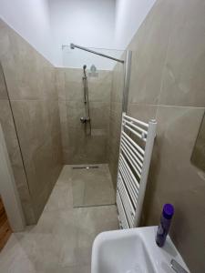 a bathroom with a shower and a sink at City Appartment 1 in Vienna