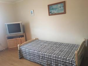 TV a/nebo společenská místnost v ubytování Apartmá u Hovorků