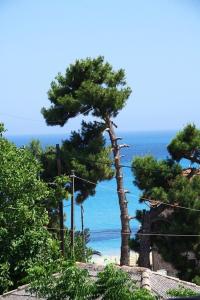 Foto dalla galleria di Alexander Apartments a Skala di Cefalonia