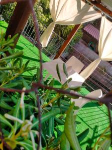 A garden outside Il Siriaco