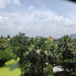 un étang verdoyant avec des palmiers dans une ville dans l'établissement Apartment Santana 5 with Lift, Balcony, AC, Water purifier and Garage, à Kolkata