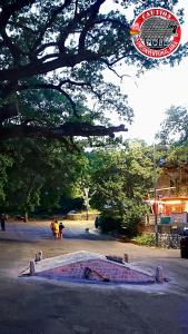 un grupo de personas caminando en un parque bajo un árbol en B&B&Beer, en Cassano delle Murge