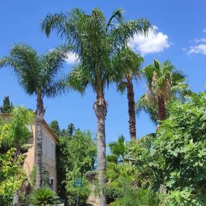 Foto dalla galleria di Agriturismo La Calabrisella a Davoli