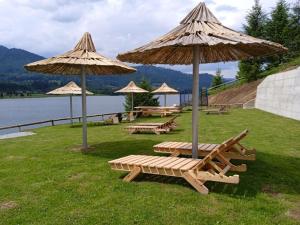 - un groupe de tables de pique-nique et de parasols à côté d'un lac dans l'établissement Casa Eden - Apartamente langa lac, à Colibiţa