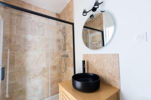 une salle de bain avec douche et miroir dans l'établissement Studio Elément - Feu, à Saint-Aignan