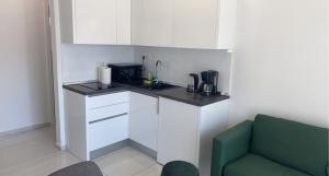 Kuchyň nebo kuchyňský kout v ubytování Luxury Villa Jasna 2