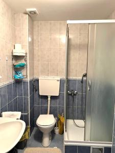 a bathroom with a shower with a toilet and a sink at Stan na dan u centru, Inđija in Inđija