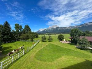 a group of horses in a field with mountains in the background at Almliesl JOTI-687 in Sankt Johann in Tirol