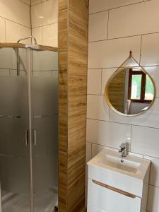 a bathroom with a shower and a sink and a mirror at Willa Góralka in Miedzygorze
