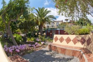 ogród z fioletowymi kwiatami i kamienną ławką w obiekcie Villa Asunción C w mieście Breña Baja
