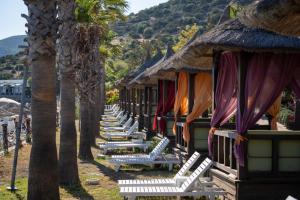 a row of chaise lounges on a beach with palm trees at Latanya Park Resort in Yaliciftlik