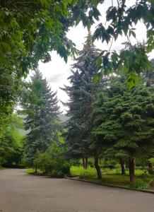 een met bomen omzoomde weg in een park bij Vanadzor Armenia Hotel in Vanadzor